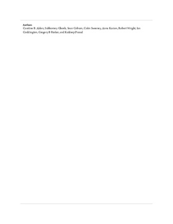 file details