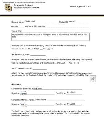 file details