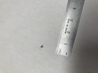 file details